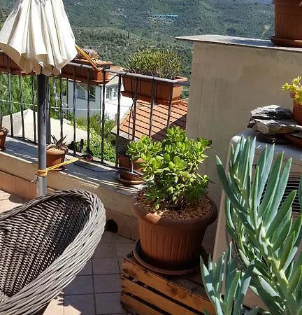 Casa Nike *